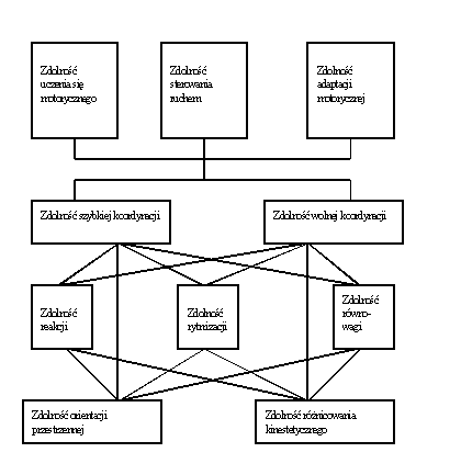 Rycina 4 Koncepcja hierarchicznej struktury podstawowych zdolności koordynacyjnych [Hirtz 1985]