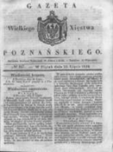 Gazeta Wielkiego Xięstwa Poznańskiego 1838.07.20 Nr167