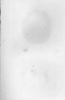 Ogrodnik Polski. 1895 R.17 nr24