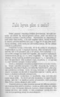 Ogrodnik Polski. 1894 R.16 nr11