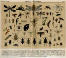 Ogrodnik Polski. 1896 R.18 nr4