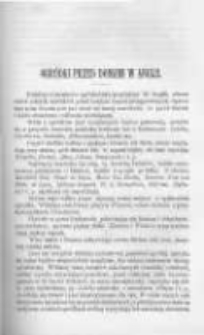 Ogrodnik Polski. 1892 R.14 nr16