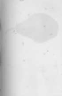 Ogrodnik Polski. 1897 R.19 nr7