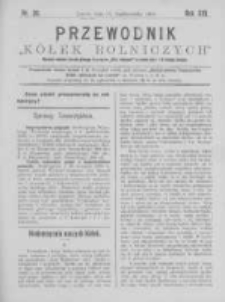 Przewodnik "K&oacute;łek rolniczych". R. XIII. 1899. Nr 20