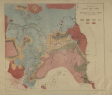 Map of the fingal gold field and Mount Nicholas coal field