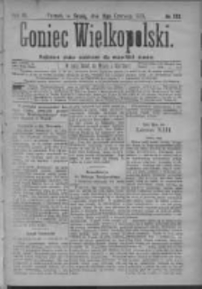 Goniec Wielkopolski: najtańsze pismo codzienne dla wszystkich stan&oacute;w 1879.06.11 R.3 Nr132