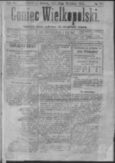 Goniec Wielkopolski: najtańsze pismo codzienne dla wszystkich stan&oacute;w 1879.09.20 R.3 Nr215