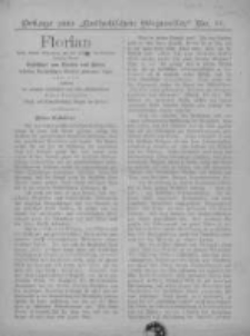 Auf dem letzten grossen socialdemokratischen...