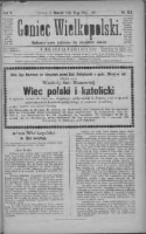 Goniec Wielkopolski: najtańsze pismo codzienne dla wszystkich stanów 1881.05.31 R.5 Nr123
