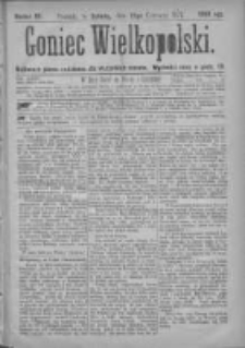 Goniec Wielkopolski: najtańsze pismo codzienne dla wszystkich stan&oacute;w 1877.06.23 Nr95