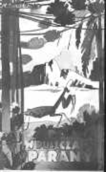 Polka w puszczach Parany