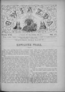 Gwiazda 1882.04.30 R.7 Nr17