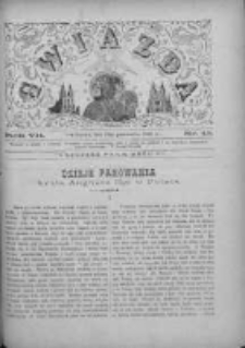 Gwiazda 1882.10.29 R.7 Nr43