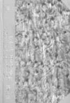 Uniwersytet Poznański: spis wykład&oacute;w w trimestrze pierwszym roku szkolnego 1920/21