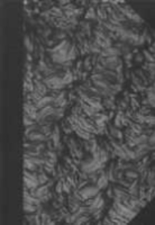 Uniwersytet Poznański: spis wykład&oacute;w na rok akademicki 1949/50