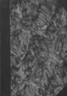 Uniwersytet Poznański: spis wykład&oacute;w na rok akademicki 1950/51