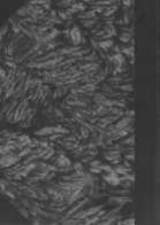 Uniwersytet im. Adama Mickiewicza: spis wykład&oacute;w na rok akademicki 1956/57