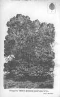 Ogrodnik Polski: dwutygodnik poświęcony wszystkim gałęziom ogrodnictwa 1880 R.2 T.2 Nr18