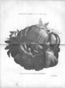Ogrodnik Polski: dwutygodnik poświęcony wszystkim gałęziom ogrodnictwa 1882 R.4 T.4 Nr18