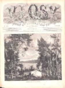Kłosy: czasopismo ilustrowane, tygodniowe, poświęcone literaturze, nauce i sztuce 1872.08.24(09.05) T.15 Nr375