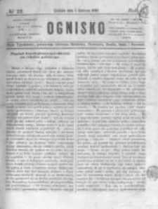 Ognisko. 1861.06.01 R.2 nr22