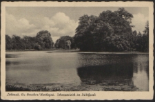 Liebenau, Krs. Wreschen/ Warthegau. Schwanenteich in Schlo&szlig;park
