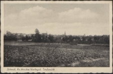 Liebenau, Krs. Wreschen/ Warthegau. Totalansicht