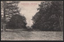 Pozdrowienie z Miłosławia: Widok parku od strony ogrodu