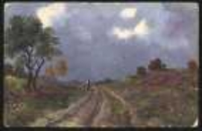 Pejzaż z polną drogą