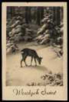 Pejzaż zimowy z sarną 02