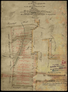 Kopie der Karte mit folgendem Titel: Plan von den Abfindungsl&auml;ndereien f&uuml;r Czmon Kreis Schrimm aus der vorhandenen Forstkarte entnommen und unter die Interessenten verteilt i. J. 1838 von Ziehlke". Angefertigt im Juli 1910 durch Dindinger. F&uuml;r die Richtigkeit dieser Kopie Bromberg, den 4. August 1910 Gaedke Landmesser