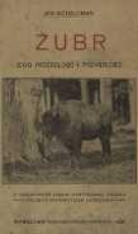 Żubr