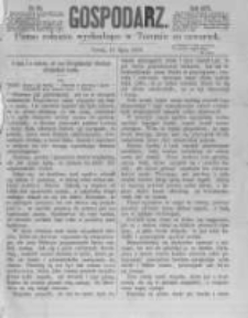 Gospodarz. 1873.07.17 R.2 nr29