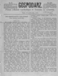 Gospodarz. 1873.10.16 R.2 nr42