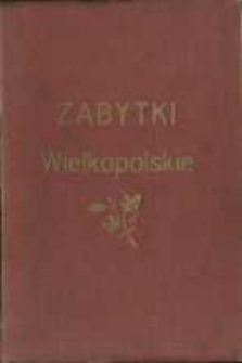 Zabytki wielkopolskie. Ilustrowany przewodnik po Poznaniu i Wielkopolsce