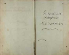 Genealogia Sukcessor&oacute;w Radzewskich