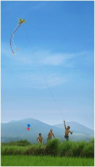Kite childhood