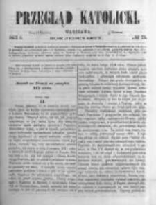 Przegląd Katolicki. 1873.06.19 R.11 nr25