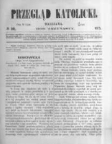 Przegląd Katolicki. 1875.07.29 R.13 nr30