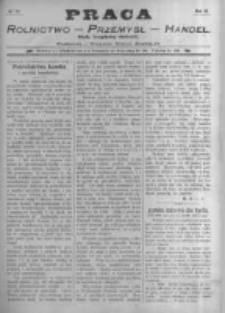 Praca: tygodnik illustrowany, ekonomiczno-społeczny i belletrystyczny dla wszystkich stanów. 1898.07.31 R.3 nr31