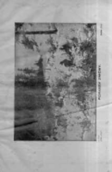 Praca: tygodnik polityczny i literacki, illustrowany. 1907.01.20 R.11 nr3