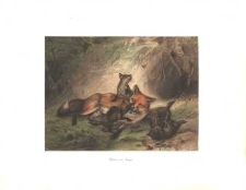 F&uuml;chlin mit Jungen