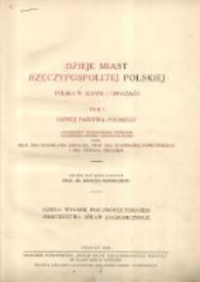 Dzieje miast Rzeczypospolitej Polskiej: Polska w słowie i obrazach T.1 Ustr&oacute;j państwa polskiego