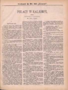 Kłosy: czasopismo ilustrowane, tygodniowe, poświęcone literaturze, nauce i sztuce: dodatki do poszczególnych numerów: dodatek do Nr 815(1881)