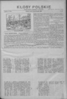 Kłosy Polskie: dodatek literacki i powieściowy do "Orędownika" 1912.11.11 Nr45