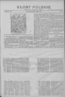 Kłosy Polskie: dodatek literacki i powieściowy do "Orędownika" 1912.12.08 Nr49