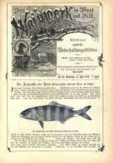 Das Waidwerk in Wort und Bild 1892-1893 Nr18