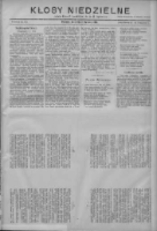 Kłosy Niedzielne: dodatek literacki i powieściowy do Nr24 "Orędownika" 1910.01.30