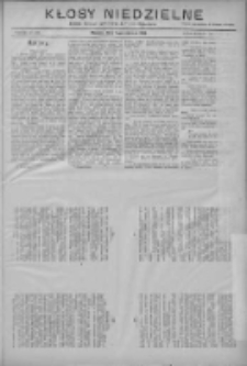 Kłosy Niedzielne: dodatek literacki i powieściowy do Nr127 "Orędownika" 1910.06.05