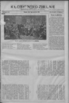 Kłosy Niedzielne: dodatek literacki i powieściowy do Nr208 "Orędownika" 1910.09.11